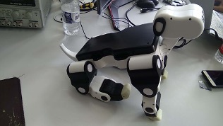 robo-dog